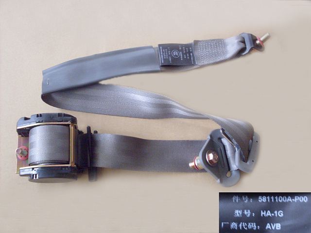 5811100A-P00