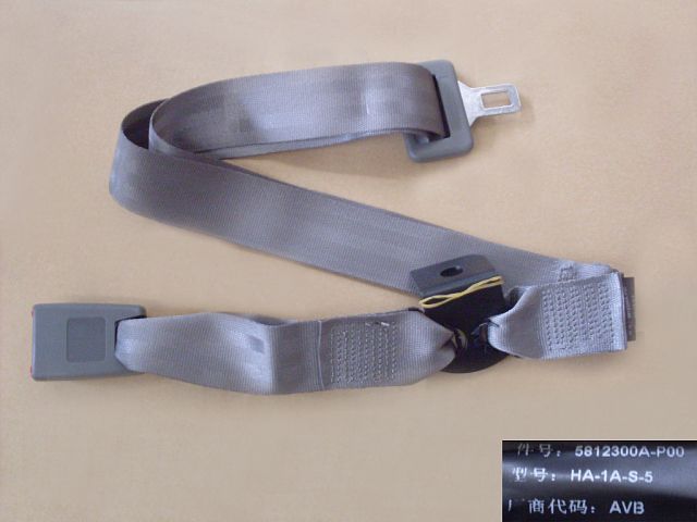 5812300A-P00