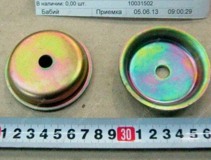 10031502